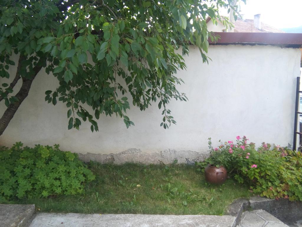 Guest House Ahp Mala Tsŭrkva エクステリア 写真